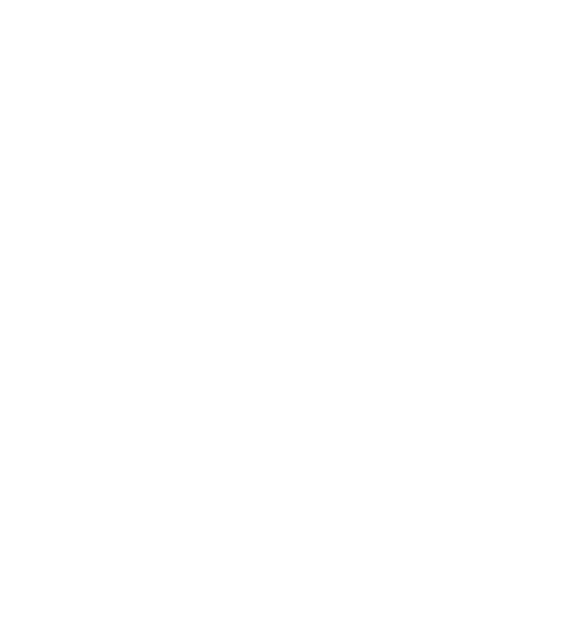 TikTok Shop